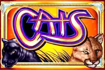 Top Slot Game of the Month: Cats Slot