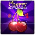 Play and win on 250+ jackpot-paying slots games
