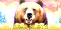 Slot Machine: Bear Slots