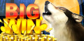 Wolf Slots Free Slot Machines