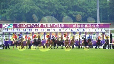 Singapore Horse Racing Live