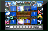 Polar Fox Slot Machine