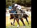 Watch Live Horse Racing Free