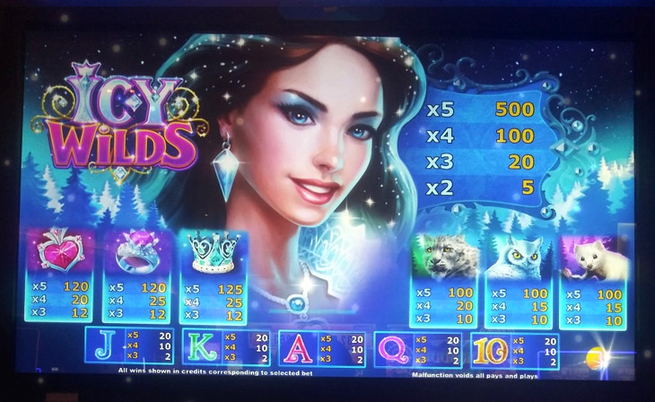 Icy Wilds Slots Review
