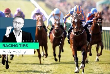 The horse racing blogs are designed like guides to get you hooked in to buying the horse.