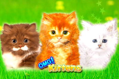 Omg Kittens Slot