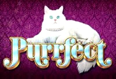 Top Slot Game of the Month: Purrfect Slot