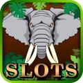 Play over 350 top online slots & casino games