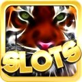 Amazing bonus for slots & casino gaming