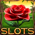 Play over 350 amazing slot machines!