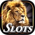 Casino gaming: slots, table games & much more