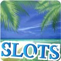 Play over 350 amazing slot machines!