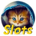 Play More Than 250 Top Slots Titles!