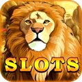 Play More Than 250 Top Slots Titles!