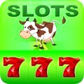 Playing bonus for slots & casino gaming