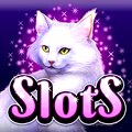 Play over 350 amazing slot machines online