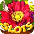 Over 550 slots and casino games on offer