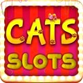 Amazing bonus for slots & casino gaming