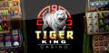 Slots Tiger King Casino Slots