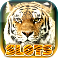 Wild Tiger Slots Machine Games 