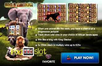 Big 5 Safari Slot