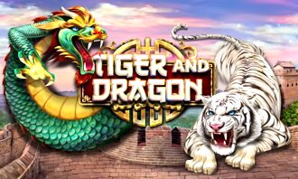 Dragon Tiger Slot Machine ᐷ Variety of Poker Game