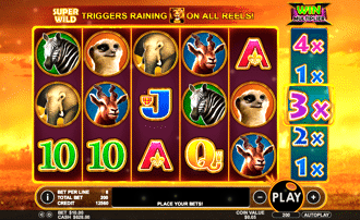 Go Wild on Safari Slot