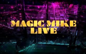 Magic Mike Live