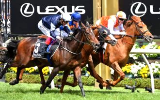 Melbourne Cup Day