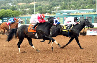 Quarter Horse Racing