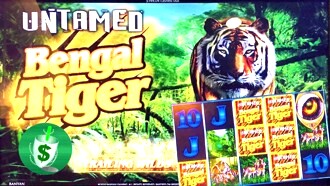 Untamed-bengal Tiger