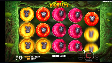 7 Monkeys Slot Machine
