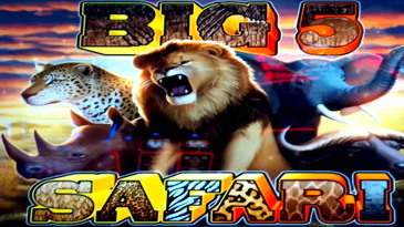 Go Wild on Safari Slot