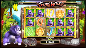 gorilla go wild casino