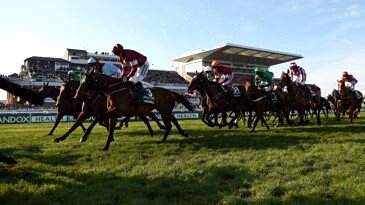 Grand National Betting Offers