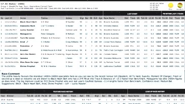 Horse Racing Form