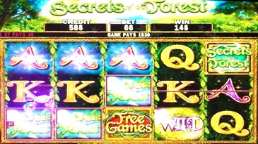 Secrets of the Forest Slots
