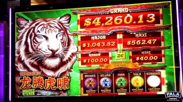 Tiger and Dragon Slot