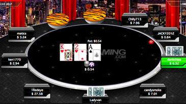 Tiger Gaming Poker Review