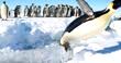 10 Cool Reasons To Celebrate Penguins