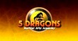 5 Dragons Martial Arts Academy