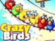 Crazy Birds Free