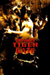 Dragon Tiger Gate (2006) directed by Wilson Yip Reviews, film + cast Letterboxd