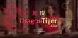 evolution live dragon tiger tie bet suited tie bet baccarat