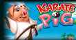 Karate Pig: A Playful Take on Martial Arts