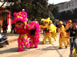 Lion Dances at Chinese New Year: Symbolism, Origins and Styles
