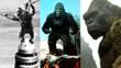 The Monkey and the Metaphor: What Every King Kong Movie Is Really Abou