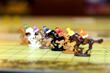 Top 5 Horse Racing Board Games