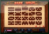Dark Ninja Slot Machine