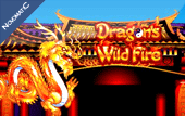 Dragons Wild Fire Slot